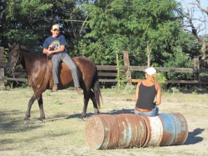 Senza sella per capire l'equilibrio