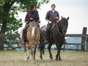 Lavoro in coppia durante il corso base