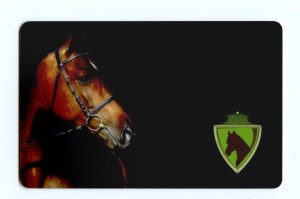 Rancho Comancho è Affiliato SEF