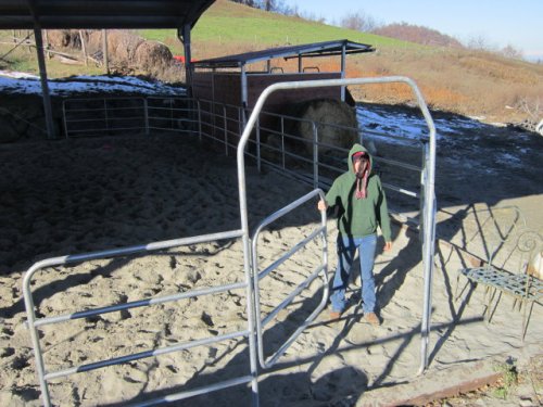 Sacha alla prima verifica del cancello dei fence