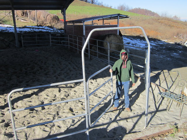 Sacha alla prima verifica del cancello dei fence
