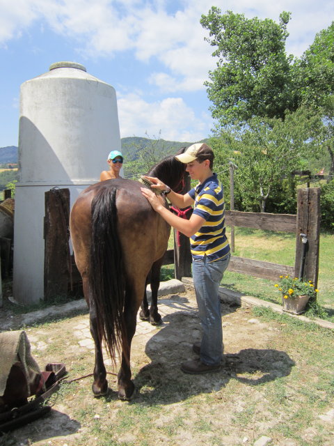 La cura del cavallo è parte del corso