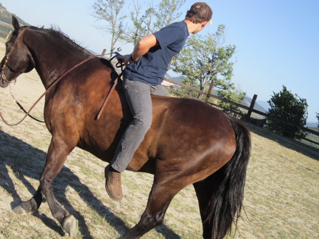 Noah durante un esercizio della terza lezione