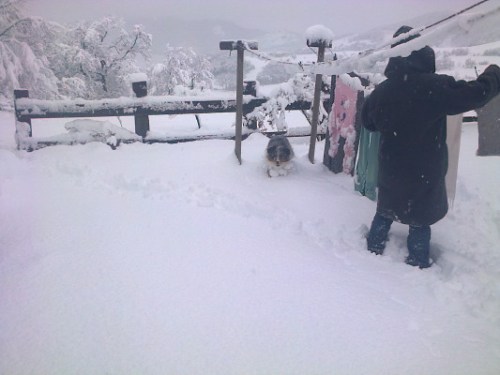 Maggie recupera i panni stesi al sole il pomeriggio prima