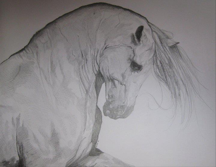 L'originale del cavallo è in formatA3