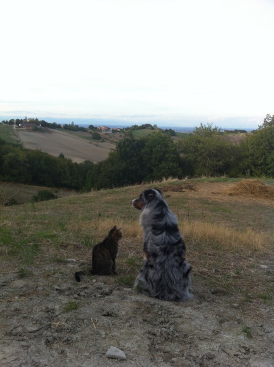 Finale di giornata lavorativa: un controllino al mondo