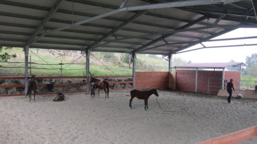 Mentre i piccoli aspettano Teo pensa anche alle mamme