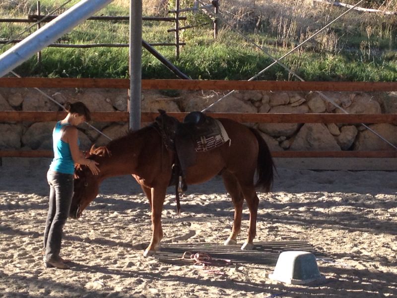 Libero, Riot ha seguito Sacha sugli ostacoli per starle vicino